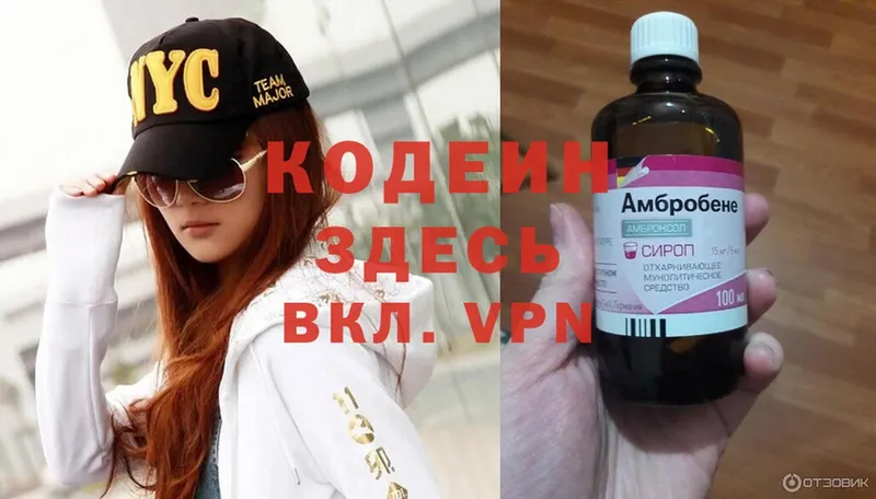 где купить наркоту  Колпашево  Кодеиновый сироп Lean Purple Drank 